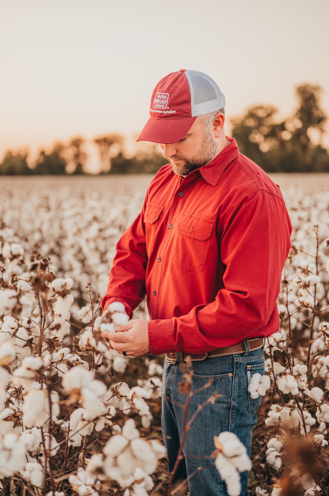 Agricultural producer standing in a cotton field