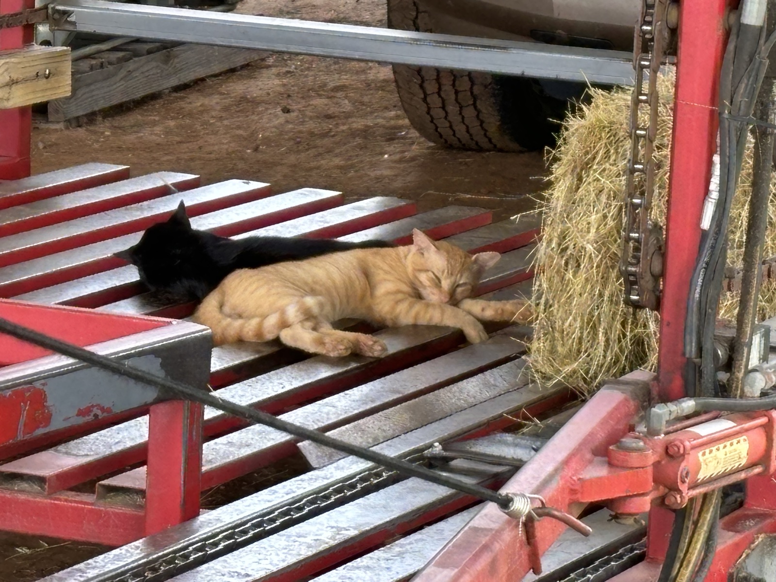 Hay and equipment at a farm work area