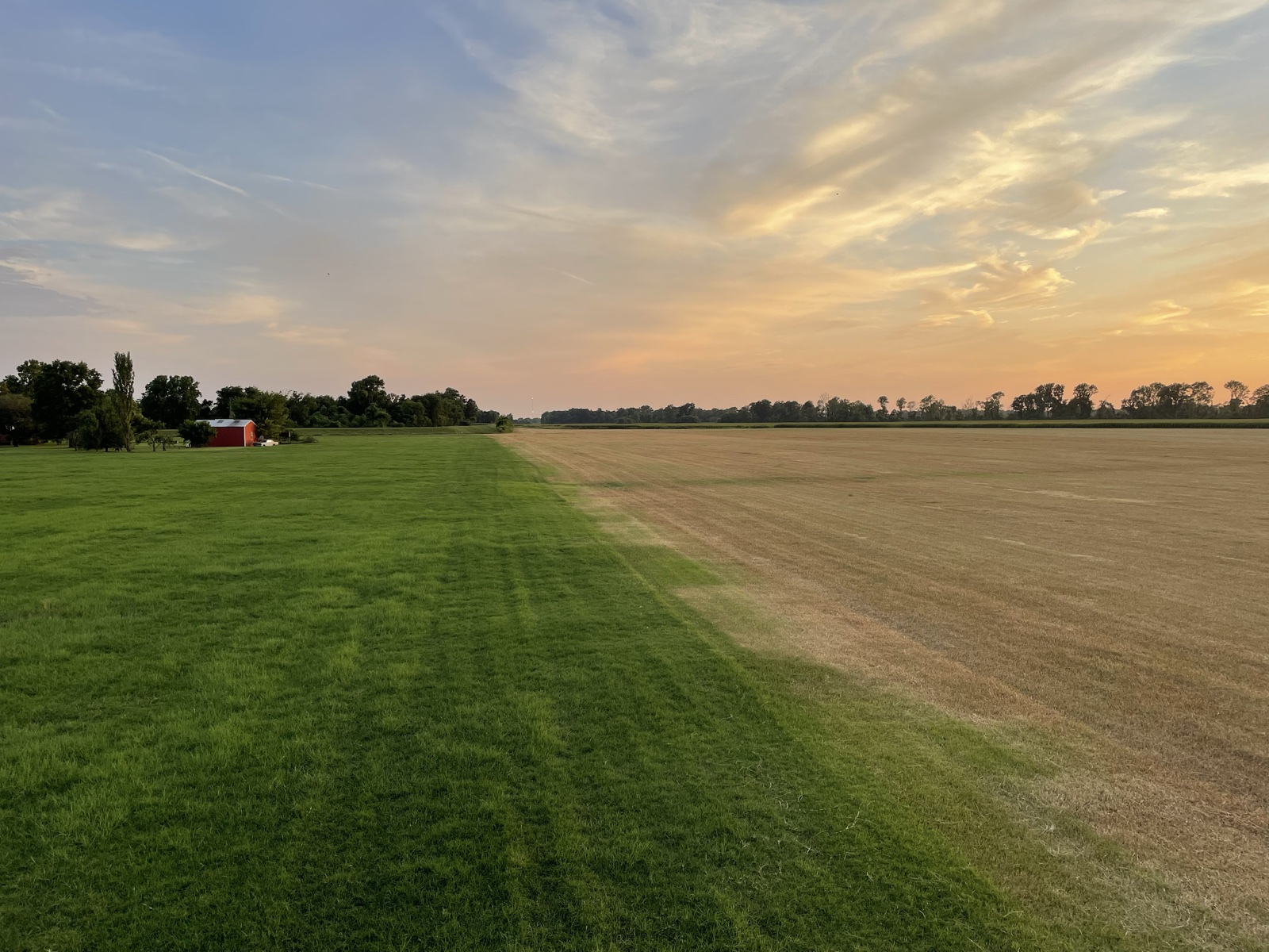 Field showing a visible difference between treated and untreated areas