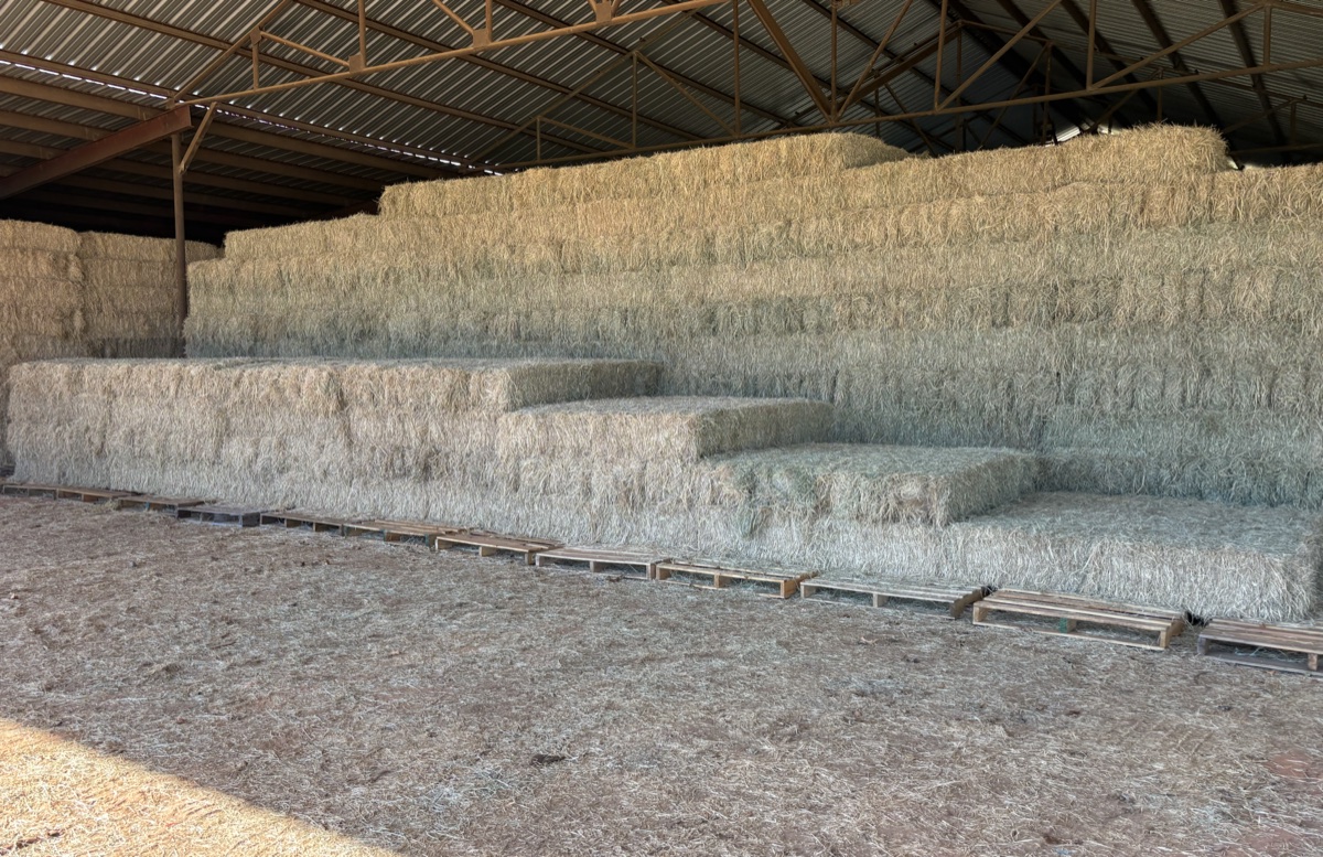 Stacked hay bales stored on pallets inside a barn
